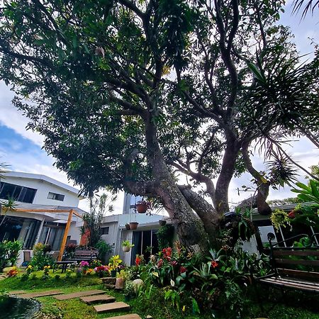 Casa Jardin Del Mango Ξενοδοχείο Σαν Χοσέ Εξωτερικό φωτογραφία