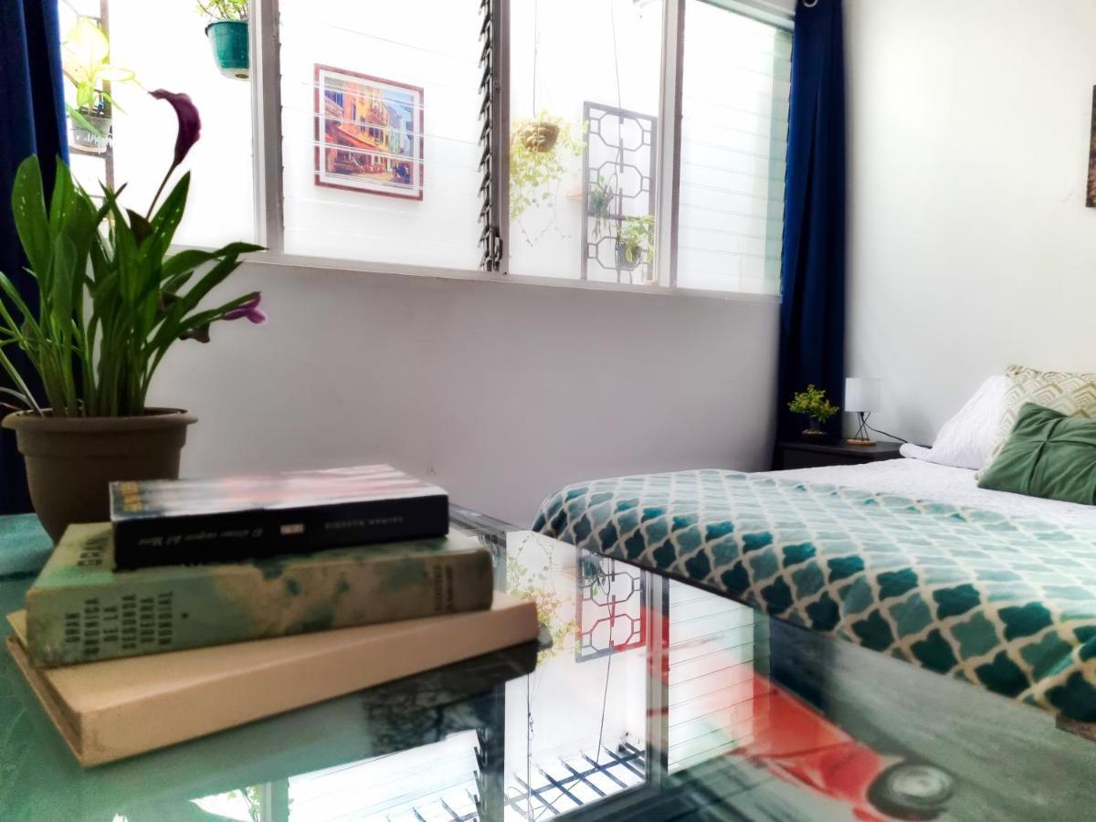Casa Jardin Del Mango Ξενοδοχείο Σαν Χοσέ Εξωτερικό φωτογραφία