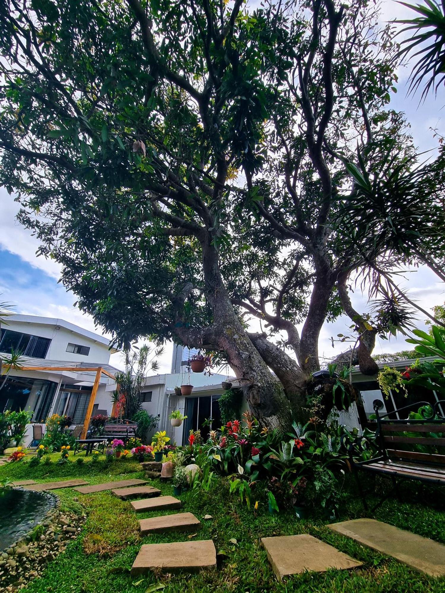Casa Jardin Del Mango Ξενοδοχείο Σαν Χοσέ Εξωτερικό φωτογραφία